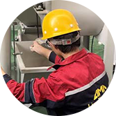 Installation & Training